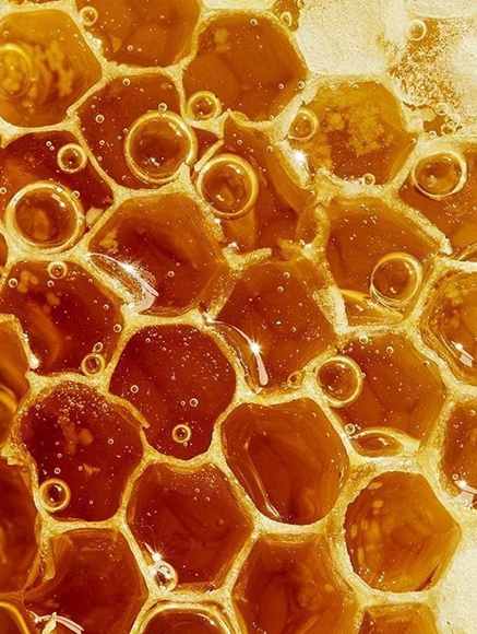 Base notes visual: Honey, White Musk, Vanilla