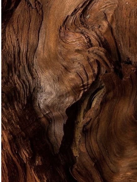 Base notes visual: Gaiac Wood,Guaiac Wood,Papyrus,Sandalwood