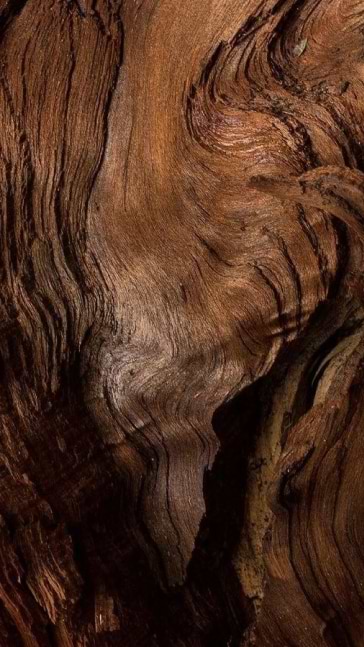 Middle notes visual: Musk,Precious Woods,Ylang-Ylang
