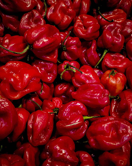 Top notes visual: Rum, Nutmeg and Chili Pepper