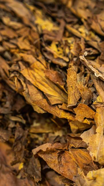 Middle notes visual: Tobacco Leaf and Patchouli