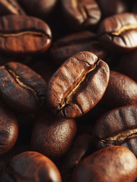 Base notes visual: Coffee, Patchouli and Cacao