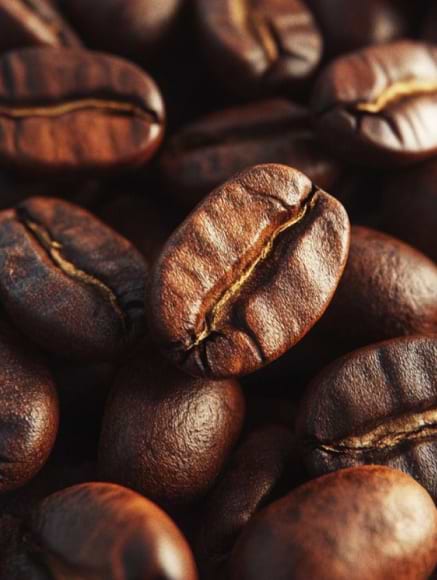 Base notes visual: Coffee, Patchouli and Cacao
