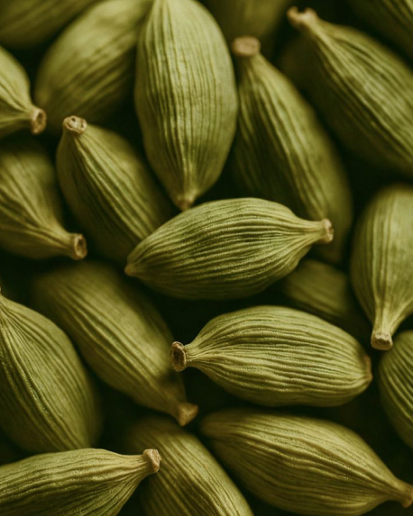 Top notes visual: Ginger, Pepperwood and Cardamom