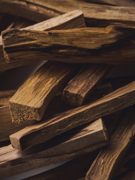 Base notes visual: Tonka Bean, Palo Santo and Patchouli