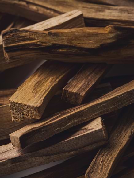 Base notes visual: Tonka Bean, Palo Santo and Patchouli