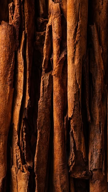 Middle notes visual: Leather,Cinnamon,Tonka Bean