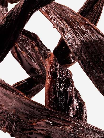 Base notes visual: Vanilla,Amber,Musk,Sandalwood