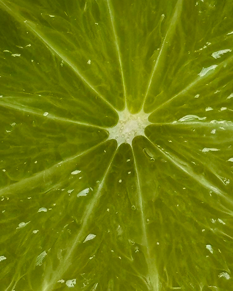 Top notes visual: Bitter Orange,Ginger,Lime,Peppermint