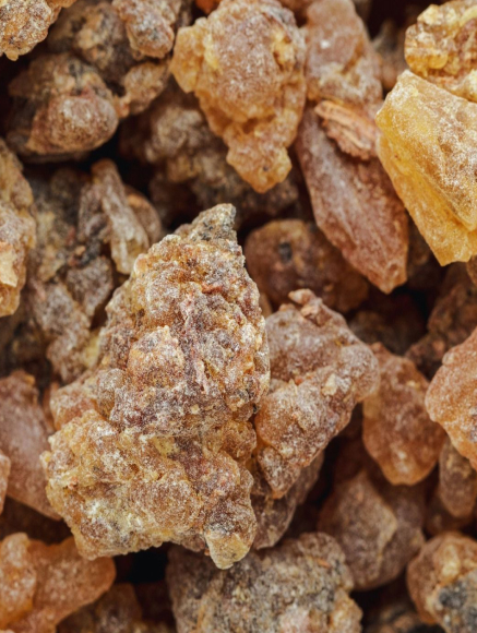 Base notes visual: Incense, Benzoin, Labdanum, Patchouli, Tonka Bean, Musk and Sandalwood