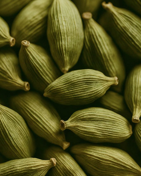 Top notes visual: Bergamot Italy essence, Cardamom essence, Rhubarb and Black pepper essence