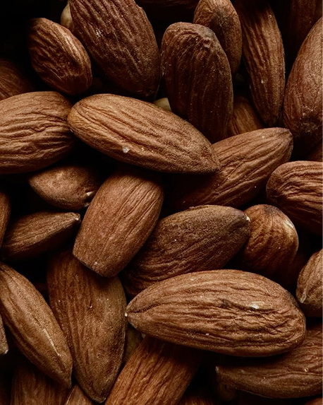 Top notes visual:  Almond, Absolute Cacao, Tonka Absolute