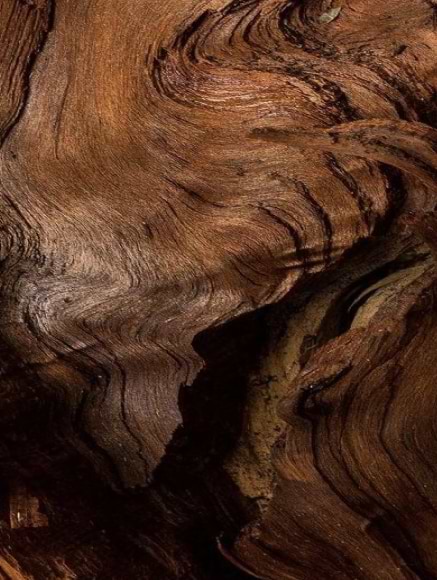 Base notes visual: Amber,Cedarwood,Musk,Sandalwood