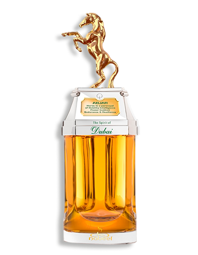 Product display image