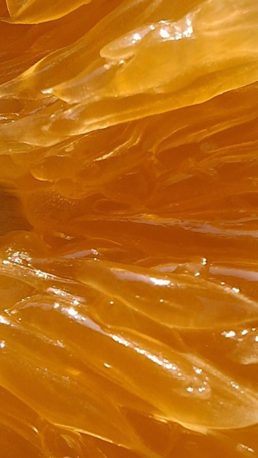 Middle notes visual: Brazilian Orange