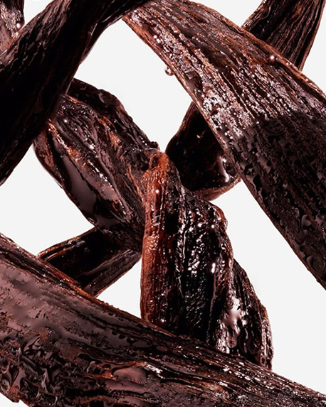 Top notes visual: Tonka Bean,Vanilla