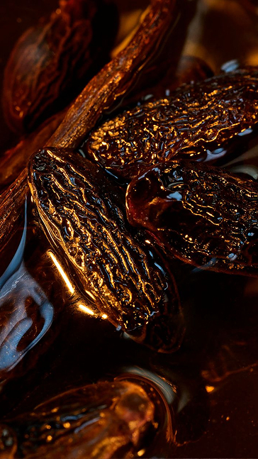 Middle notes visual: Tonka Bean