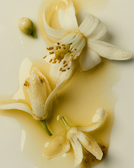 Top notes visual: Mint,Neroli