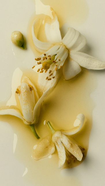 Middle notes visual: Neroli,Petitgrain