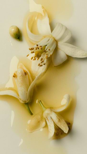 Middle notes visual: Neroli,Petitgrain