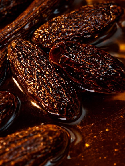 Base notes visual: Myrrh,Tonka Bean