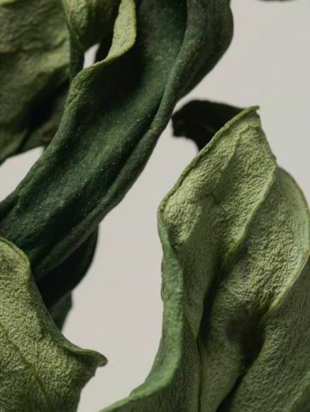 Base notes visual: Amber,Patchouli,Vetiver