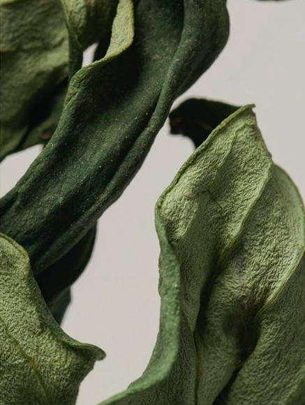 Base notes visual: Dry Amber,Musk,Patchouli,Vetiver
