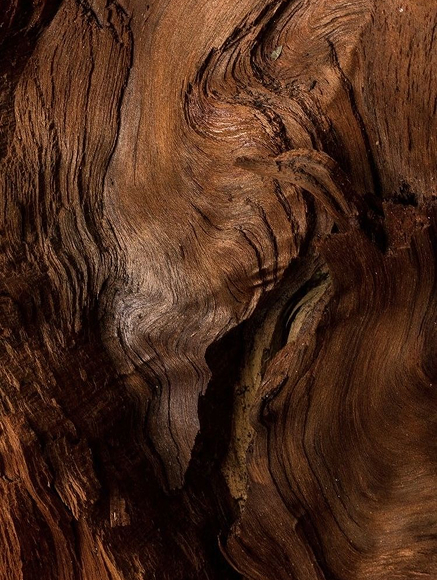 Base notes visual: Agarwood (Oud),Guaiac Wood,Indian Oud,Peru Balsam