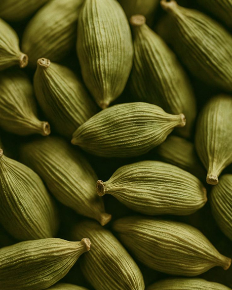 Top notes visual: Bergamot,Cardamom