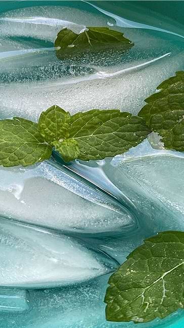 Middle notes visual: Ginger,Mint,Myrtle