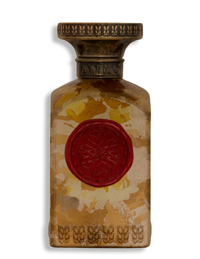 Product display image