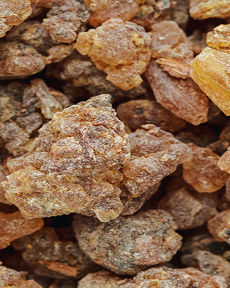 Top notes visual: Cade Oil,Carrot Seeds,Frankincense