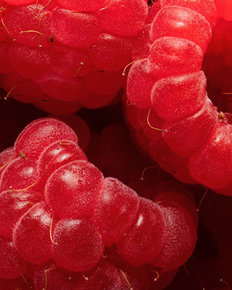 Top notes visual: Pink Pepper,Raspberry
