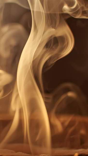 Middle notes visual: Incense,Labdanum,Seaweed
