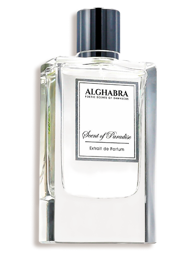 Product display image