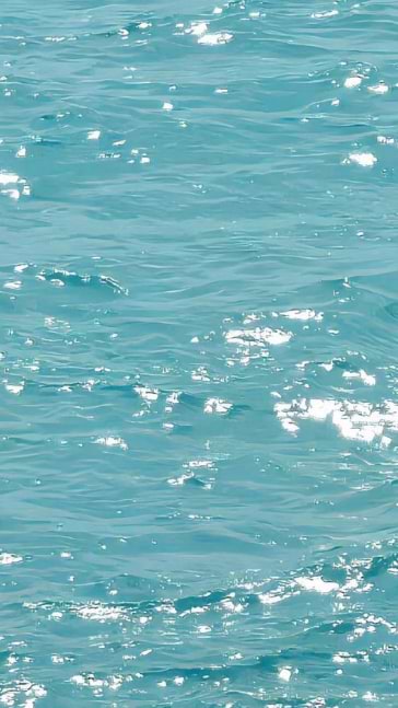 Middle notes visual: Aquatic Notes,Freesia,Ice