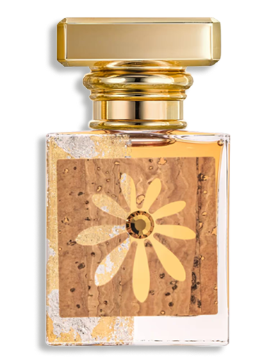 Product display image