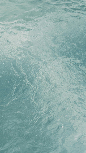 Middle notes visual: Fennel,Myrtle,Sea Notes