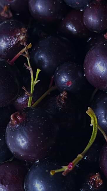 Middle notes visual: Black Currant,Cedar,Jasmine