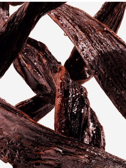 Base notes visual: Cacao,Leather Accord,Oud,Oud Co Chang (Feel-Oud)
