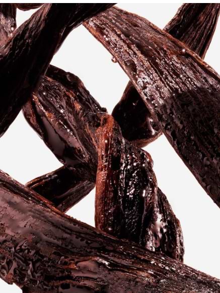 Base notes visual: Cacao,Leather Accord,Oud,Oud Co Chang (Feel-Oud)