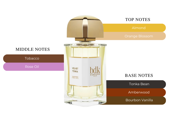 Simone Andreoli Leisure in Paradise