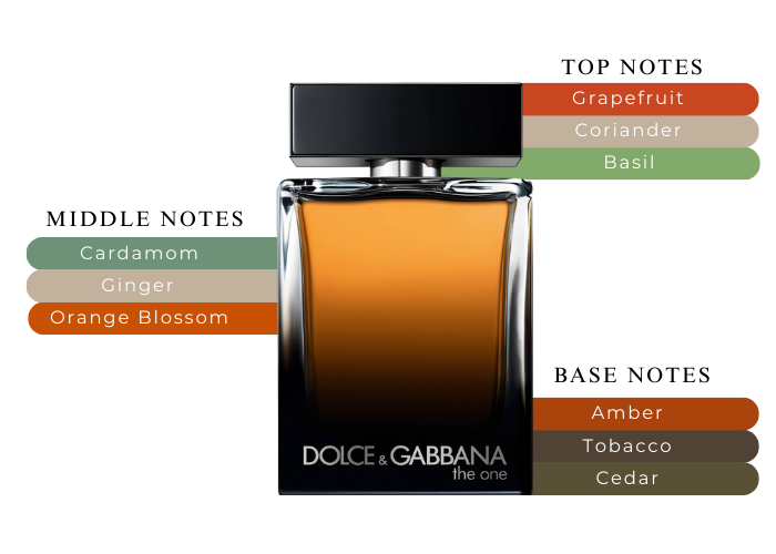 For Men Dolce Gabbana Orange Parfum DOLCE GABBANA THE ONE FOR MEN