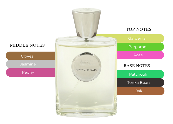 Brand Story Image 2