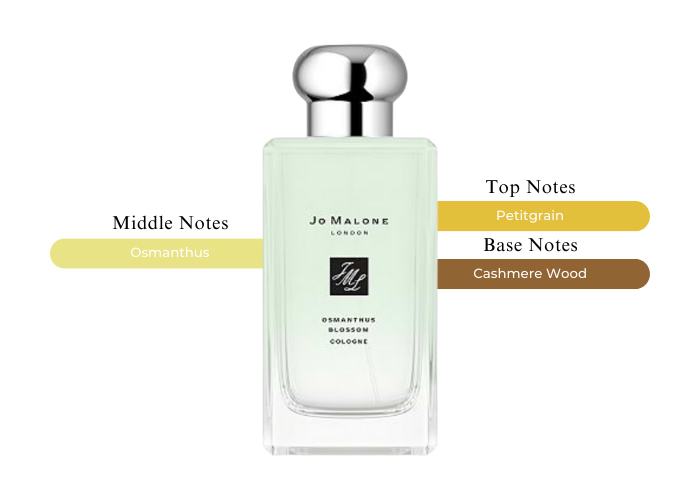 Brand Story Image 2