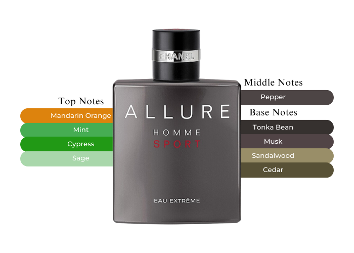 CHANEL ALLURE HOMME SPORT Eau Extrême Amazon.com : Allure Homme Sport Eau Extreme Eau De Toilette