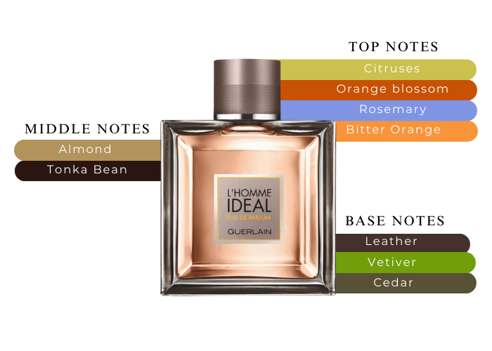 Guerlain L'Homme Ideal オードトワレ 50ml Amazon.com : Guerlain L'Homme Ideal Eau de Toilette Spray