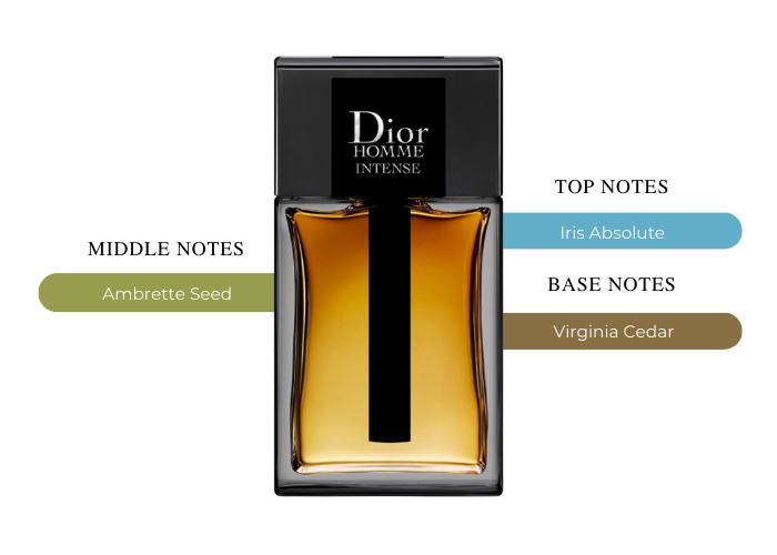 Embark on a fragrance Journey-Christian Dior Dior Homme Intense Embark on a fragrance Journey-Christian Dior Dior Homme Intense