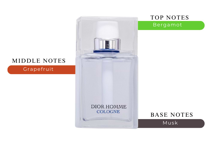 Dior Homme Cologne by Christian Dior Eau De Toilette Tester