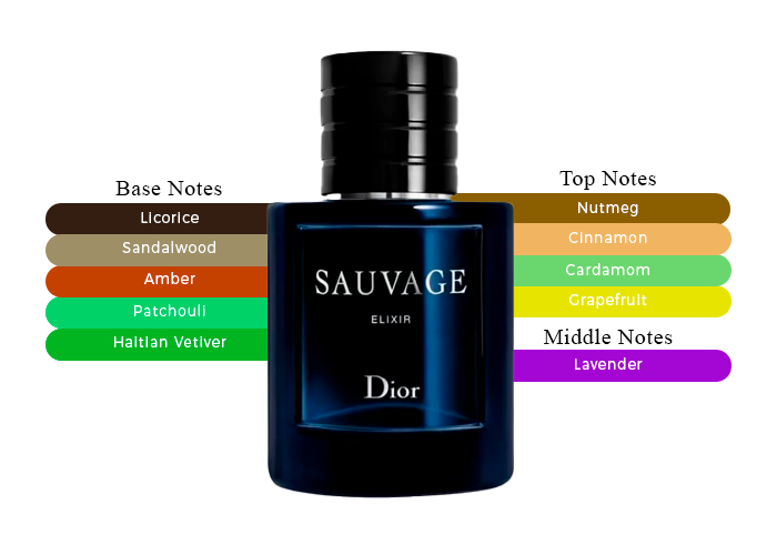 Experience The Revolution with Christian Dior Sauvage Elixir